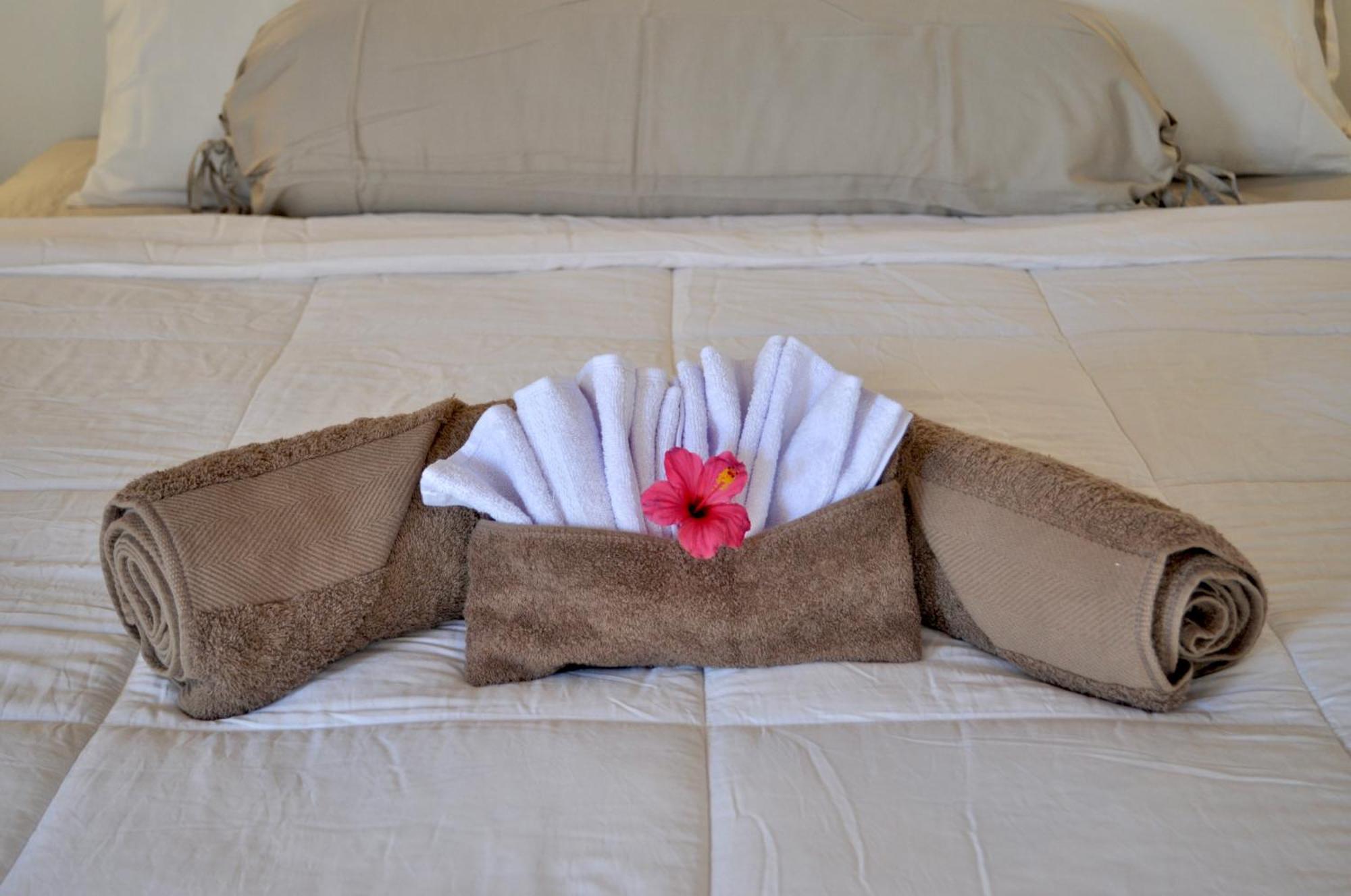 Ripbowl Guest House Selong Belanak Ngoại thất bức ảnh